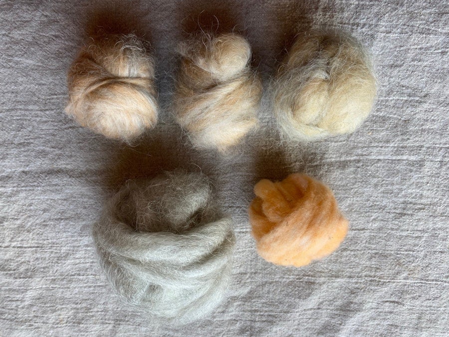 Spinning for Winter Cheer: A New Spin-Along Image