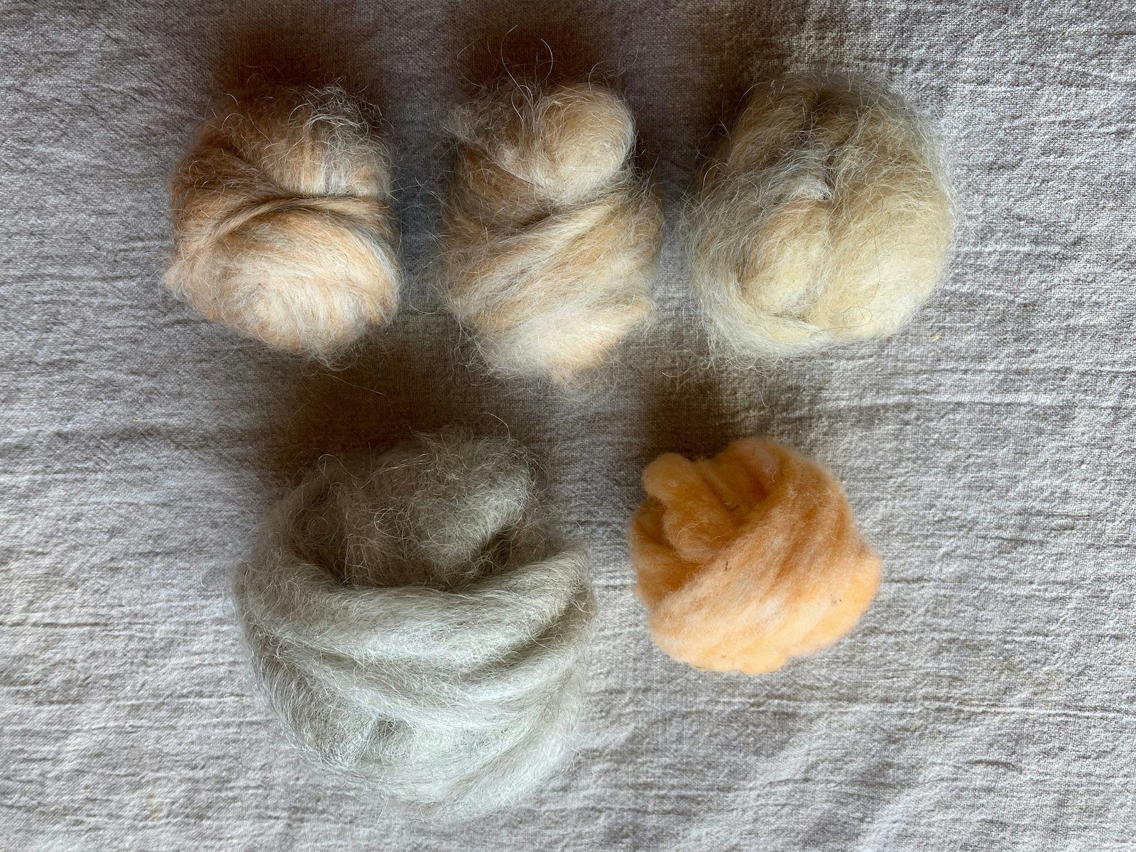 Spinning for Winter Cheer: A New Spin-Along Primary Image