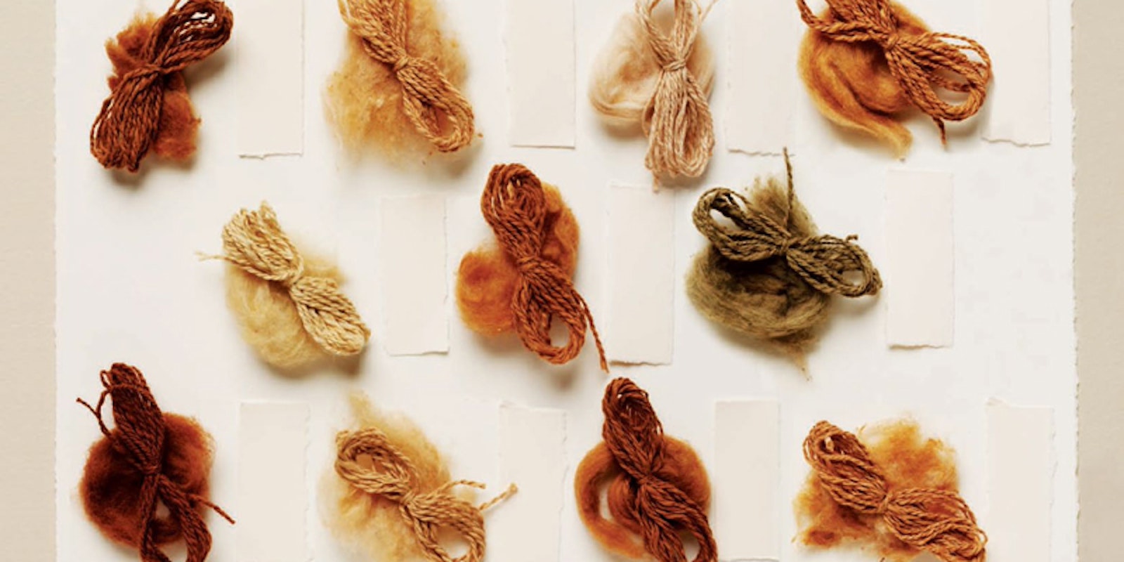 Have You Spun Warhill Wool? Primary Image