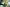 Spinning From Cradle to Grave: Andean Spinning Primary Image