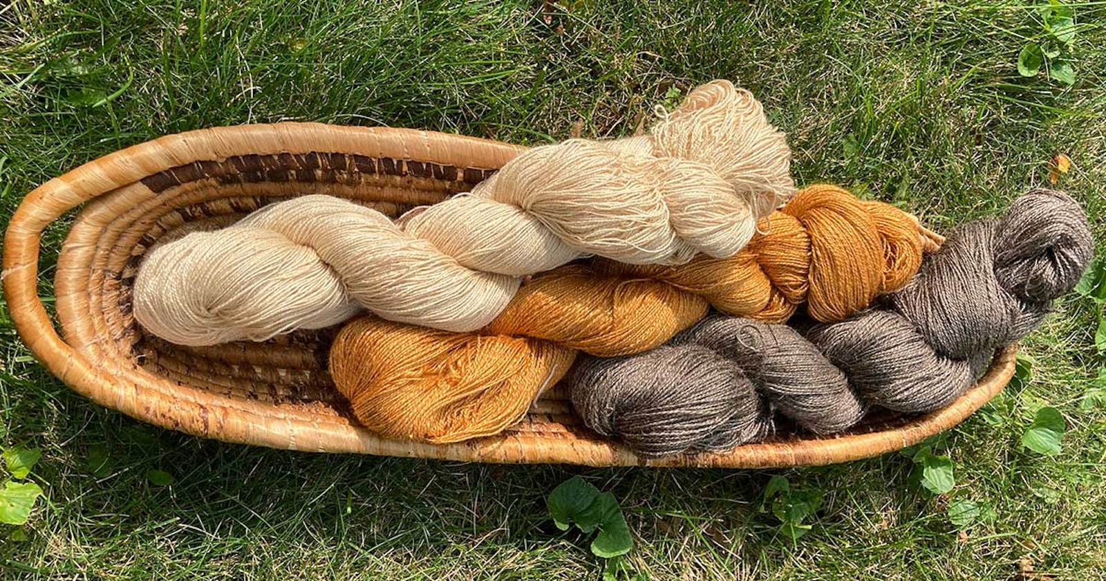 Spinning Silk Is Not Scary Primary Image