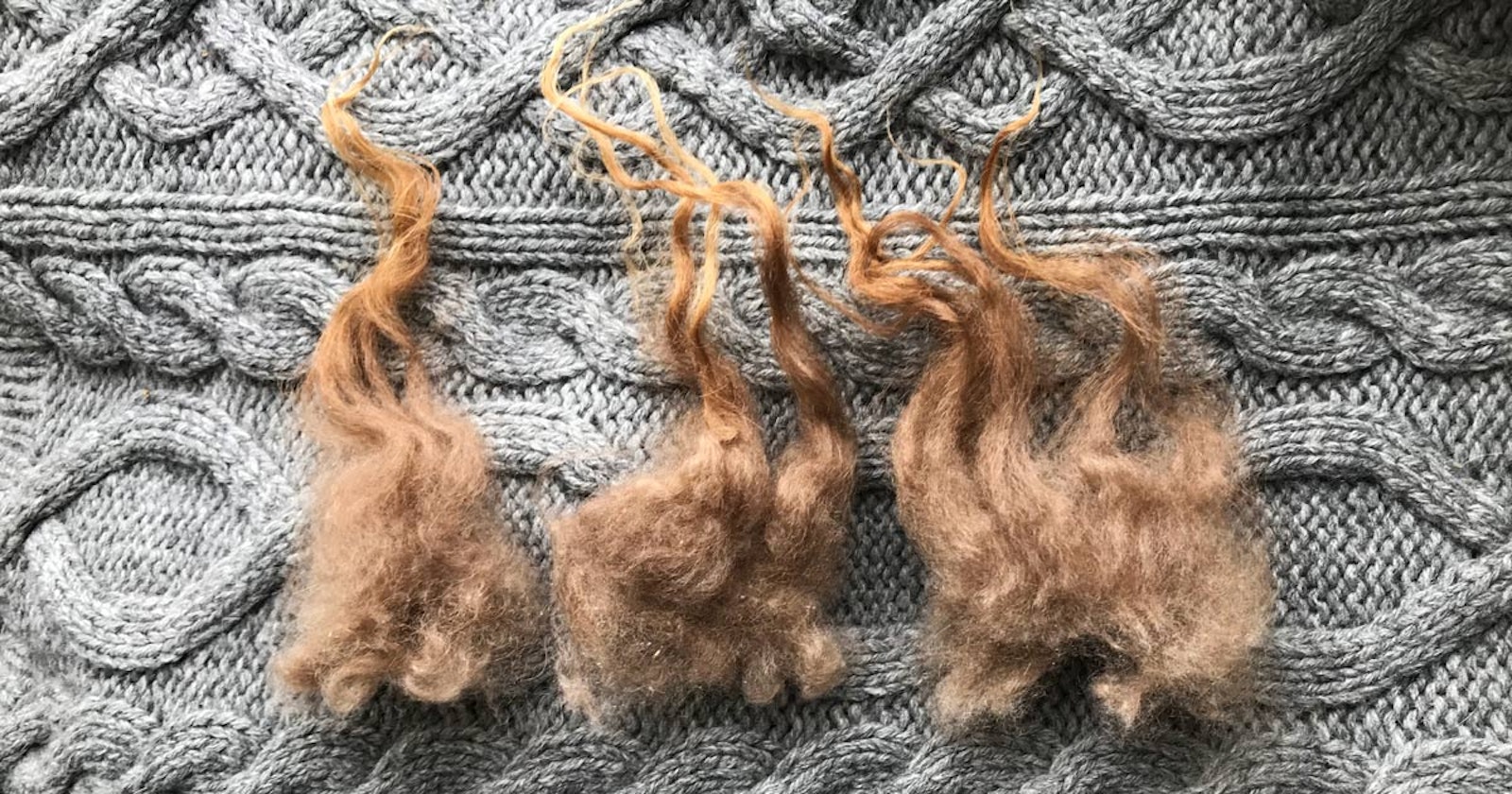 How to Spin Wool from an Icelandic Sheep Primary Image