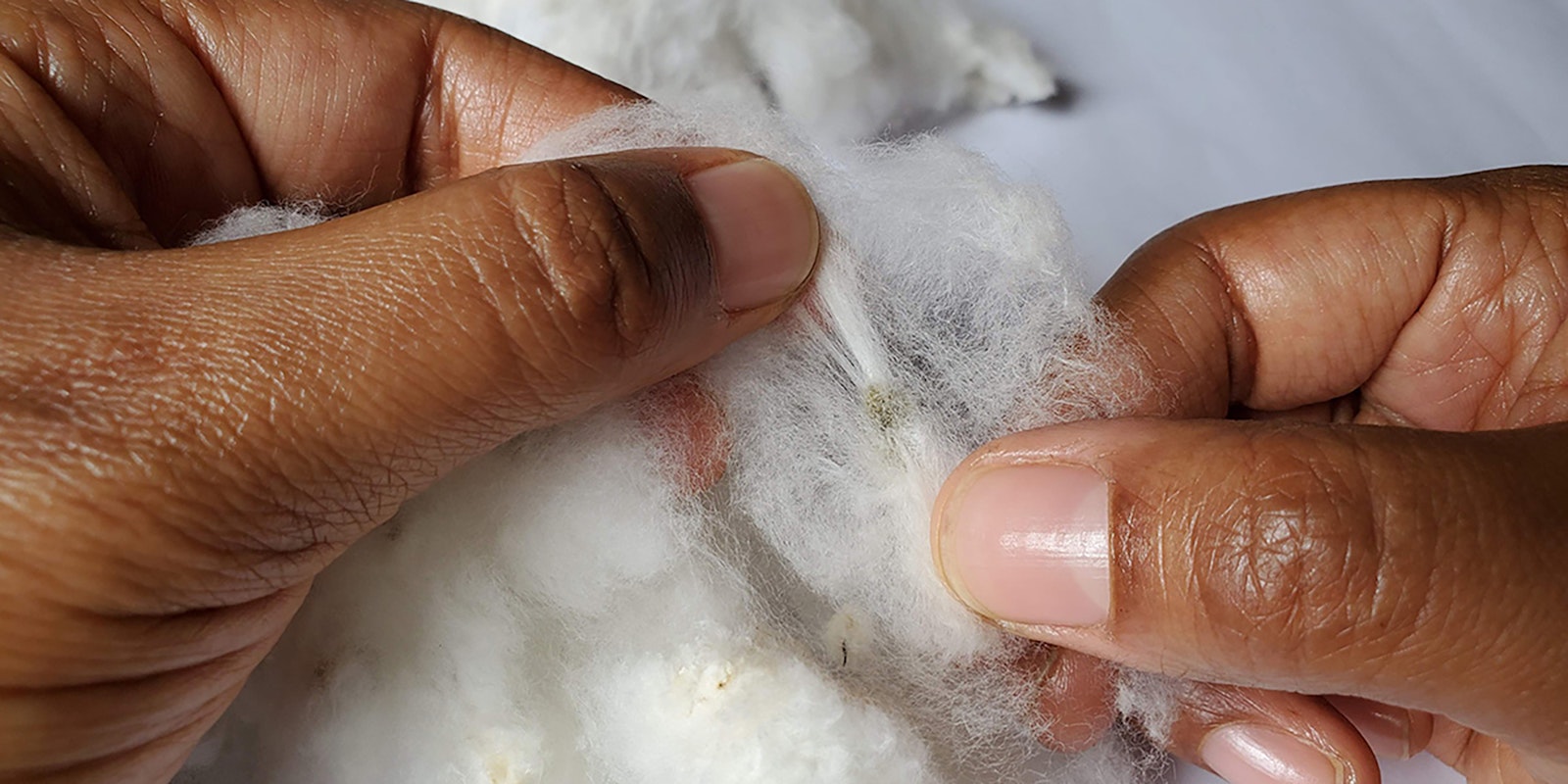 A Practical Guide to Ginning Cotton by Hand Primary Image