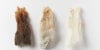 Wool, Hair, and Kemp: What’s in a Fleece? Image