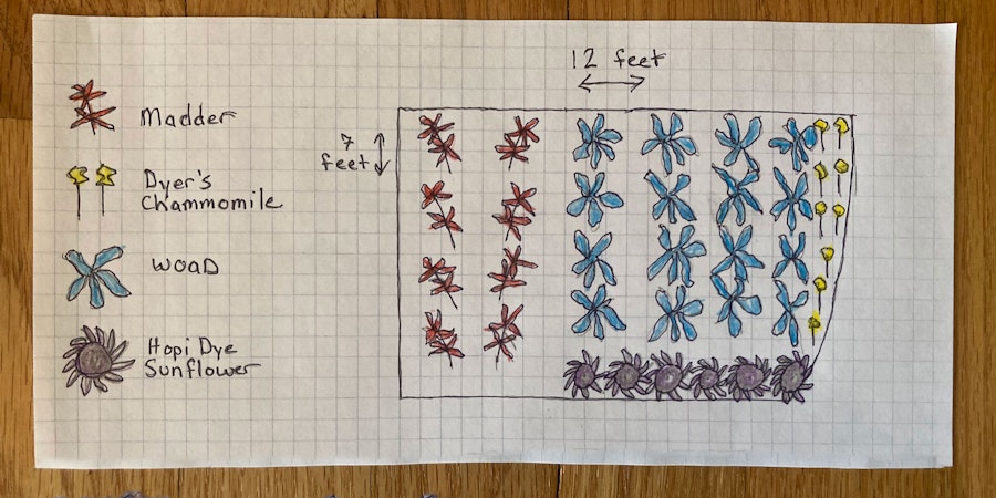 Planting Hope: Planning a Dye Garden Image