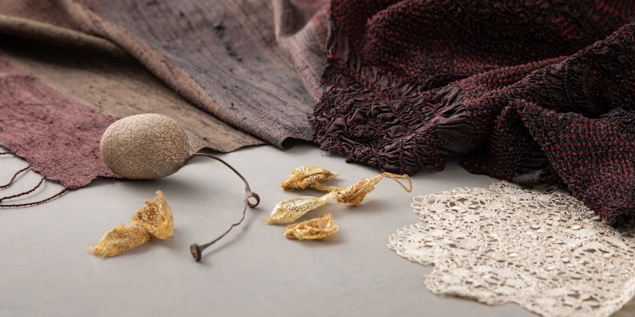 Judith MacKenzie on Surprising Silk Image