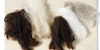 Washing Wool: Free Spinning Guide on How to Select and Wash Wool Image