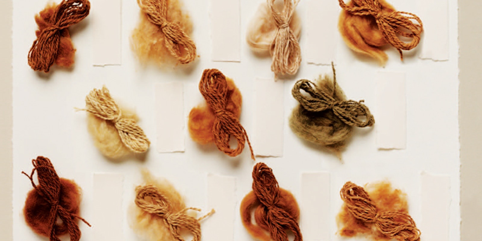 Spinning Cotton + Colored Cotton Free eBook Primary Image