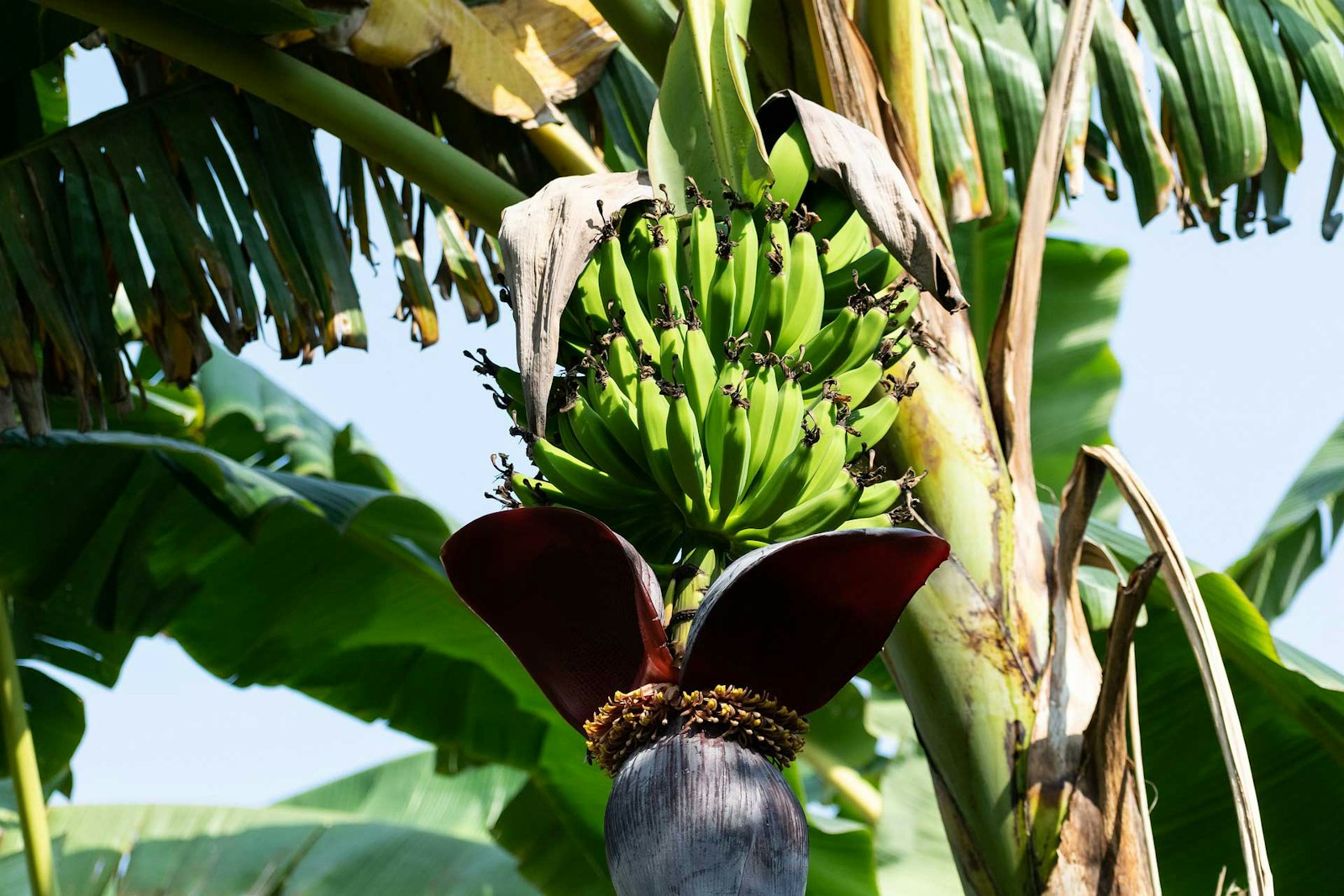 Spinning the New Fibers: Adventures in Soy, Bamboo, Banana, Steel, and More Primary Image