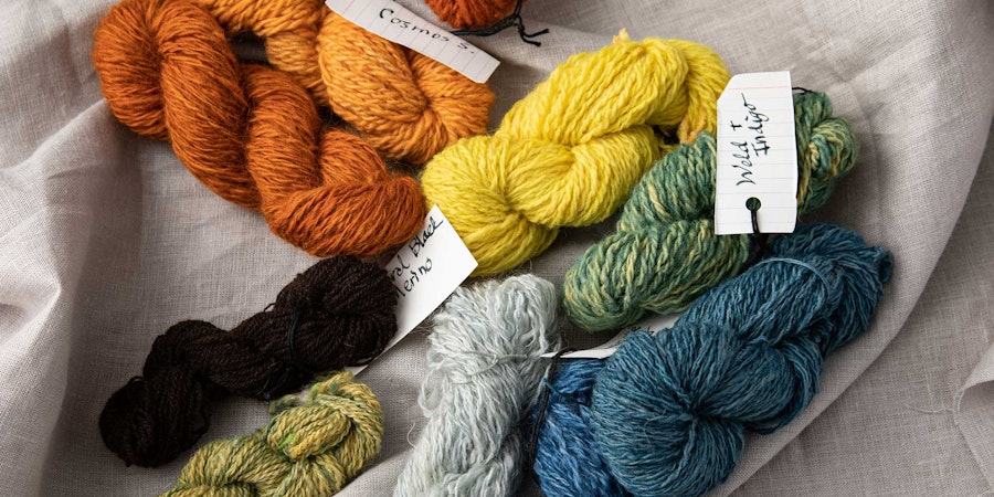 Color Tools: Josef Albers and the Garter-Stitch Möbius Image