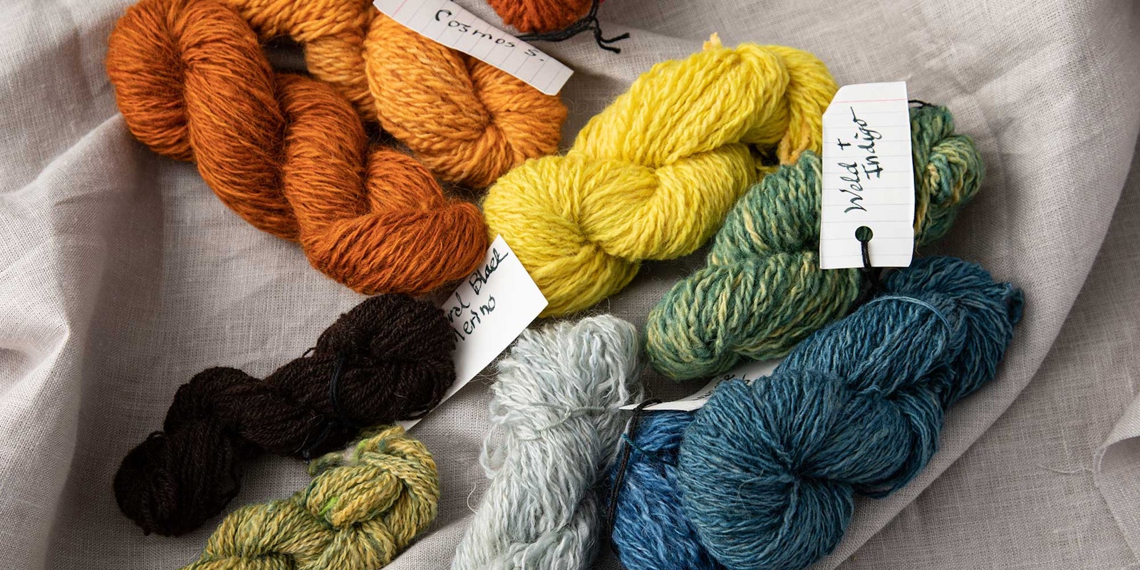 Color Tools: Josef Albers and the Garter-Stitch Möbius Primary Image