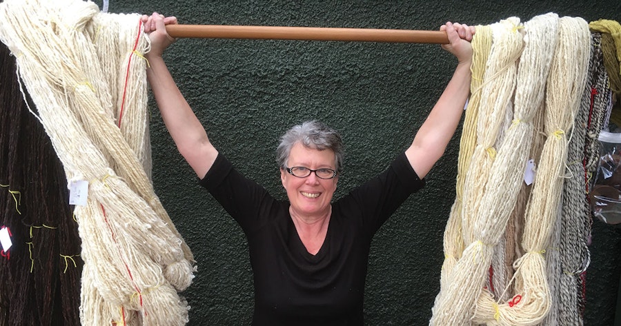 Rising to the Spinzilla Challenge: Milissa Dewey’s Story Image