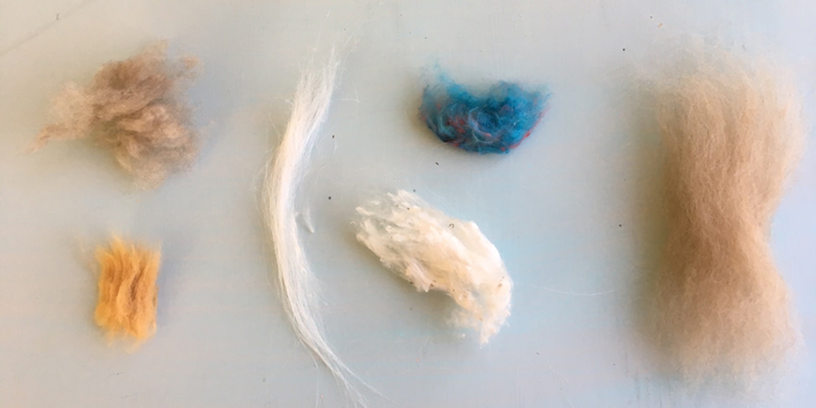 A Spinner’s Buffet: How to Card Wool, Silk, and Friends Primary Image