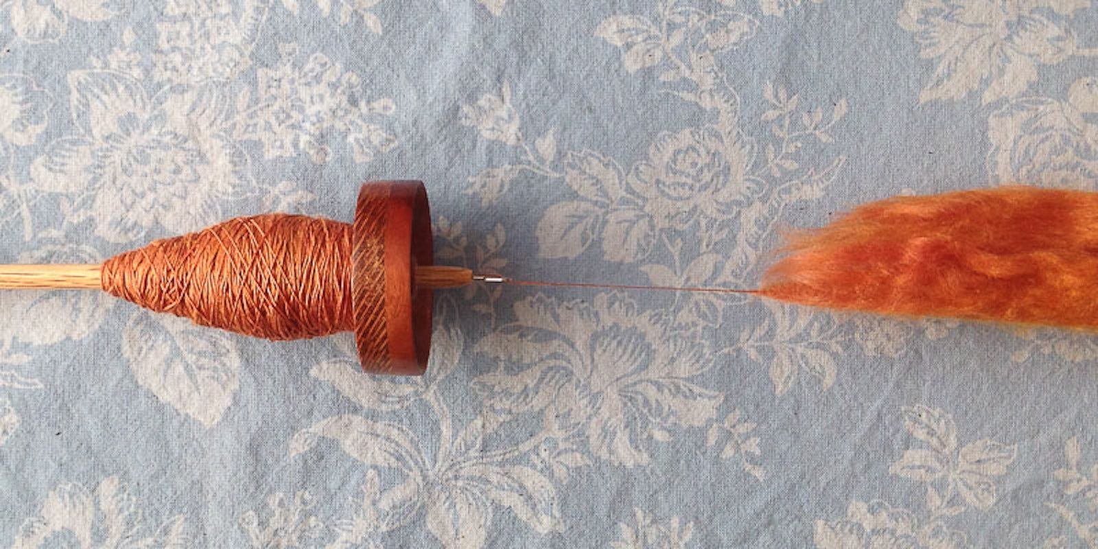 First Fiber of the New Year Primary Image