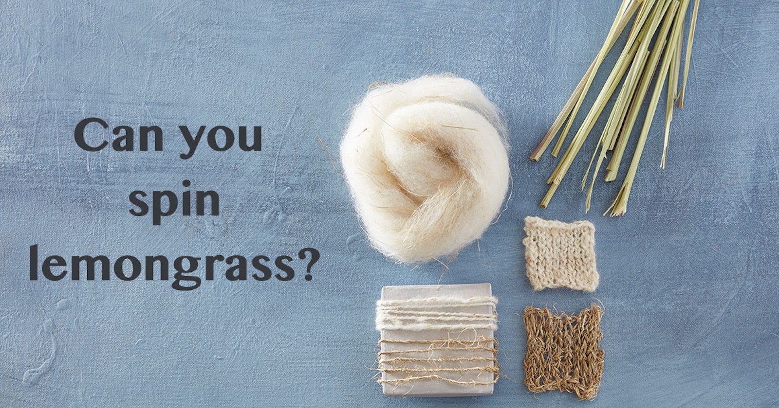 Exploring Bast Fibers: Lemongrass Primary Image