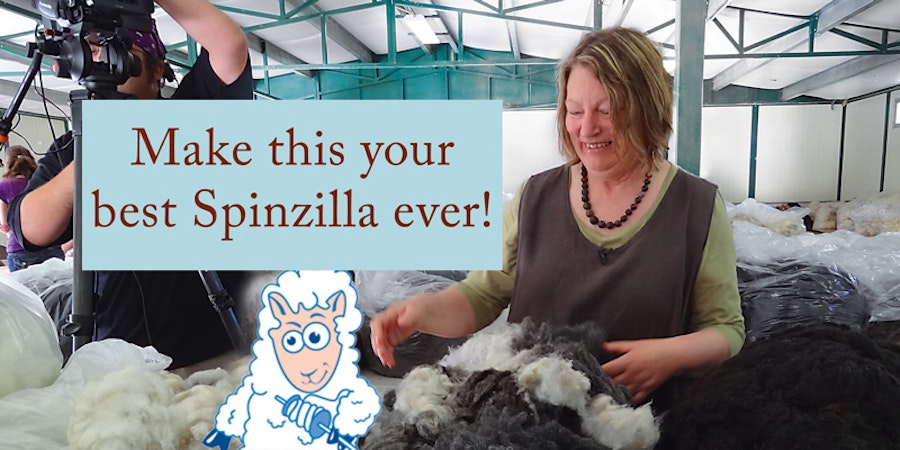 9 Things You Can’t Miss During Spinzilla Image