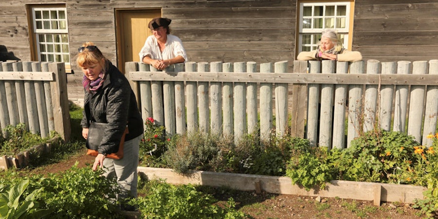 Celebrating Domestic Arts: A Day of Historical Natural Dye Image