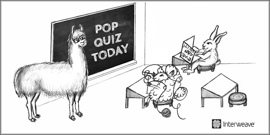 Test Your Fiber Knowledge: What’s Your Class Ranking? Image