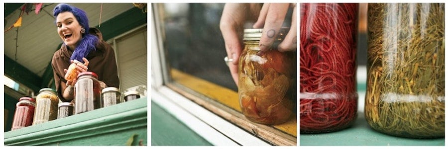 Kissed by the Sun: The Art of Solar Dyeing Image