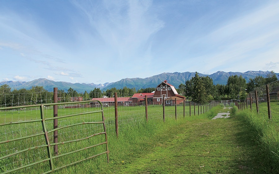 Hand-Combed Qiviut: A Rare Luxury from Alaska Image