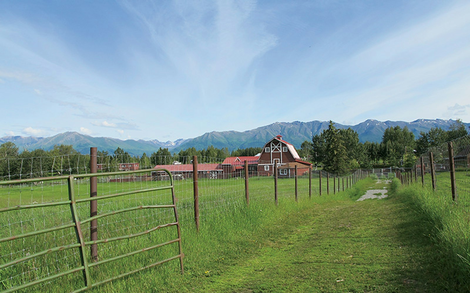 Hand-Combed Qiviut: A Rare Luxury from Alaska Primary Image