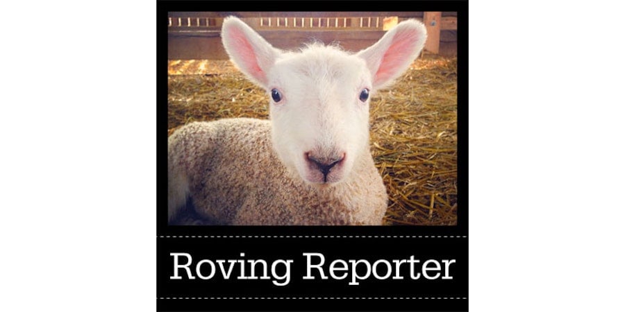 A Shepherd’s Calendar Image