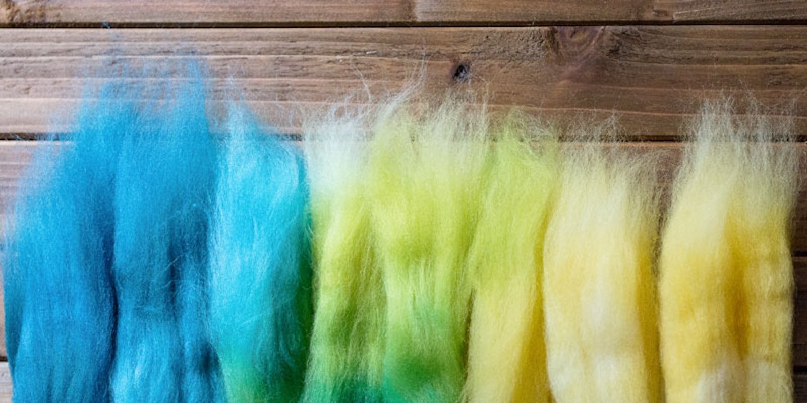 Color Spun Your Way Primary Image