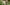 Looking for Perfect Buttons? Make Your Own Primary Image