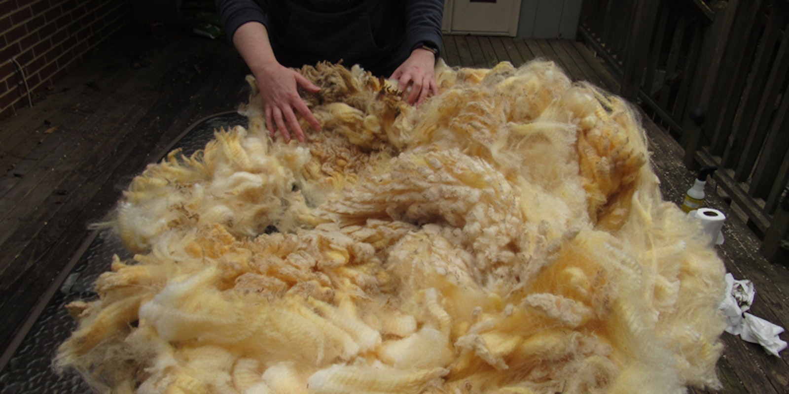 Her Handspun Habit: Adopt-a-Sheep (Isn’t it romantic?) Primary Image