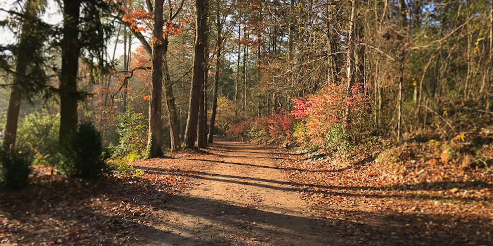 Roving Reporter: Spin Your Path at John C. Campbell Folk School Primary Image