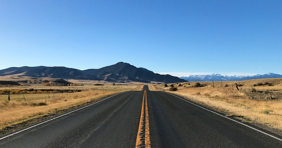 Roving Reporter and New Spin Off Adventures Image