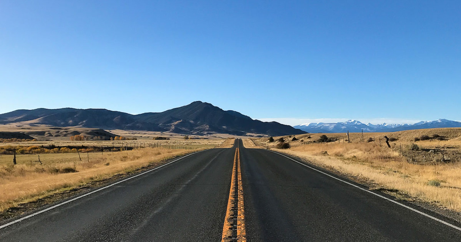 Roving Reporter and New Spin Off Adventures Primary Image