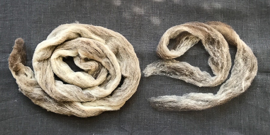 Roving Reporter: The Lumpy, Bumpy Story of Neps and Noils in Roving Image