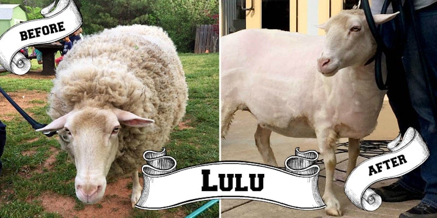 Going Back to School for Earth Day (Never Stop Learning) Image