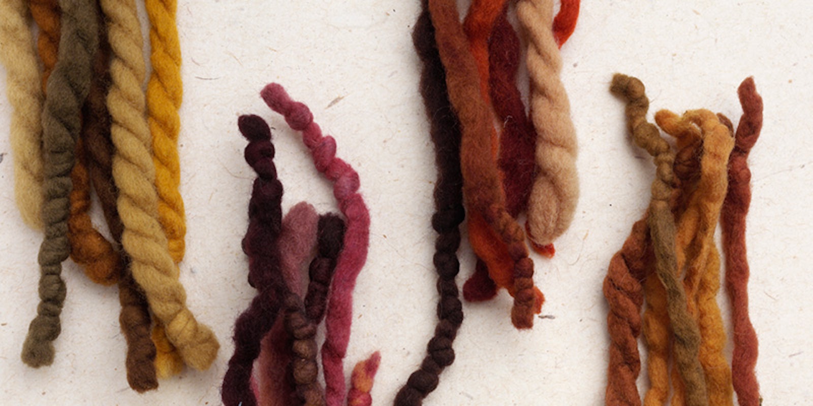 Color Your Fiber with Fungi: 5 Reasons to Dye with Mushrooms Primary Image