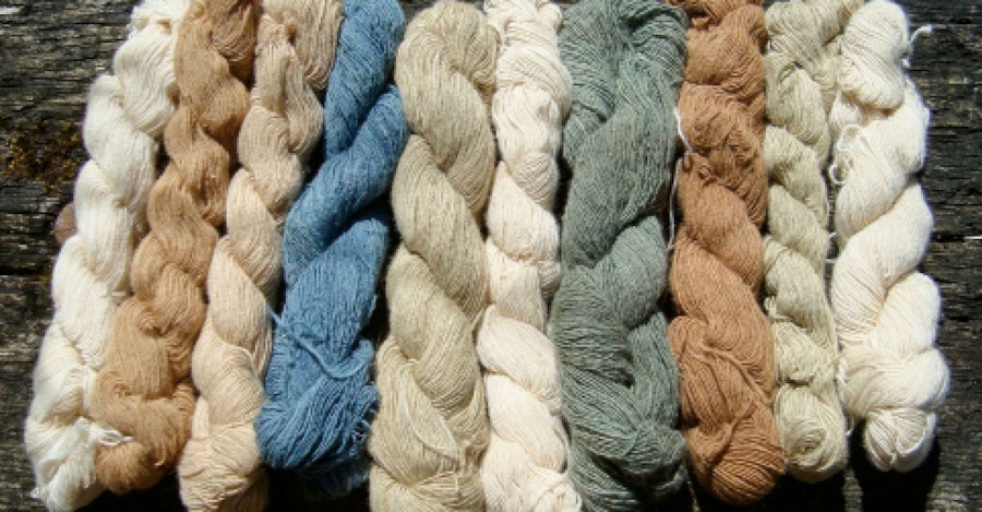 Kristin Merritt: Honest Cloth Image