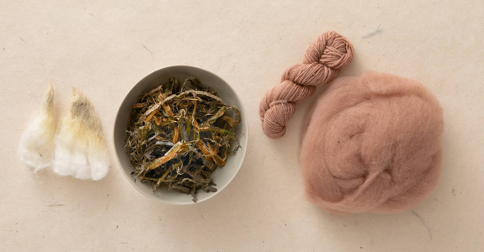 Dyeing with Buckthorn Primary Image