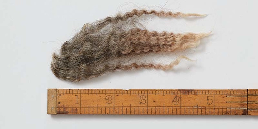 Spin Off Call for Submissions Winter 2021: The Elements of Structure Image