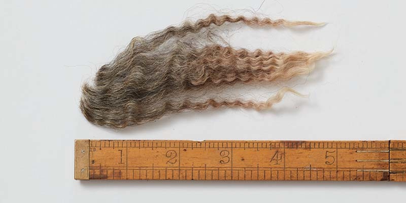 Spin Off Call for Submissions Winter 2021: The Elements of Structure Primary Image