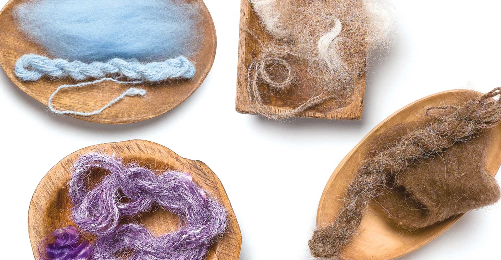   Curly  Horse: An Exotic Fiber from the Equestrian World Primary Image