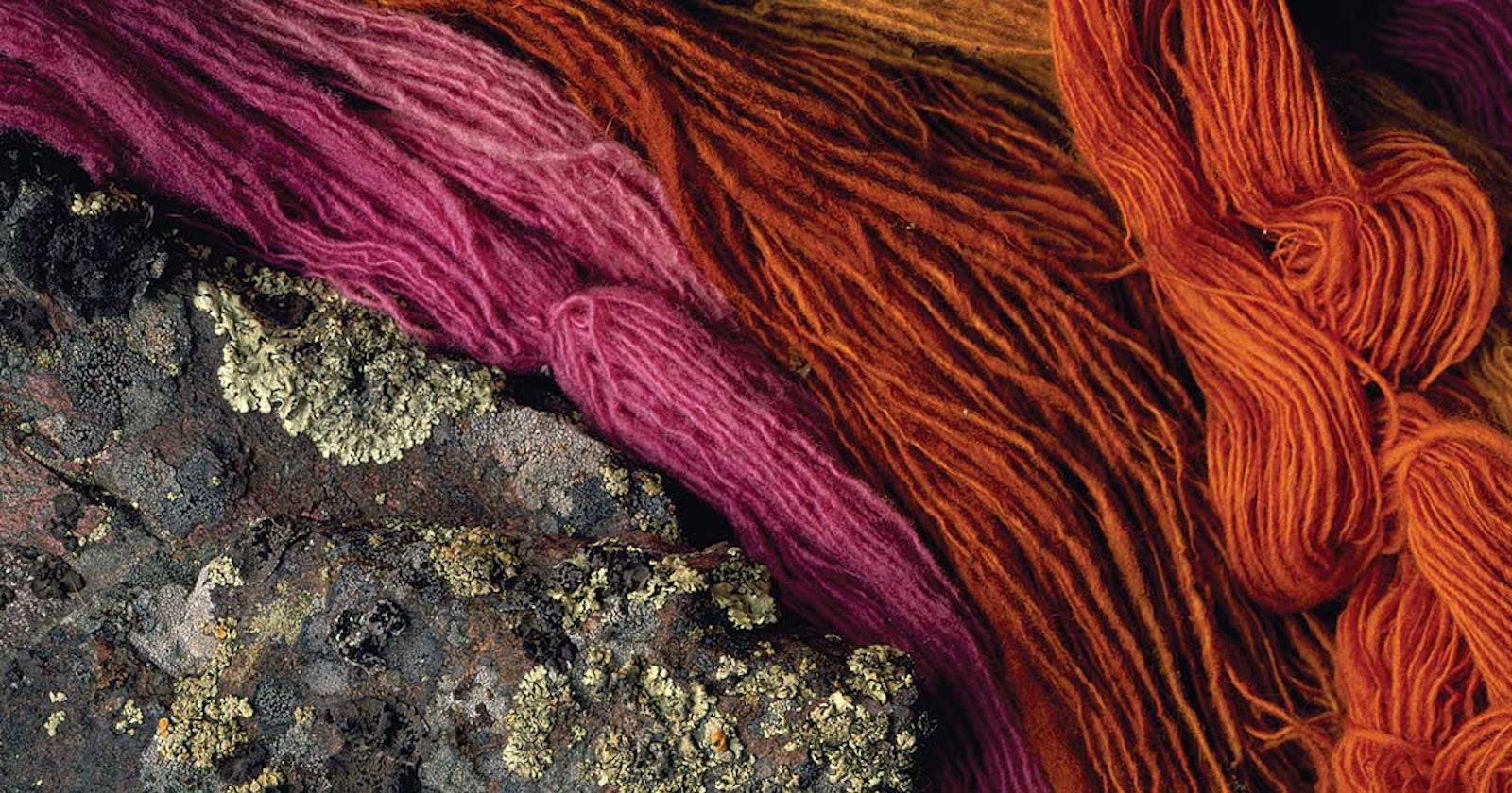 Follow Your Curiosity: Natural Fibers, Dyeing, and More with Linda Ligon Primary Image
