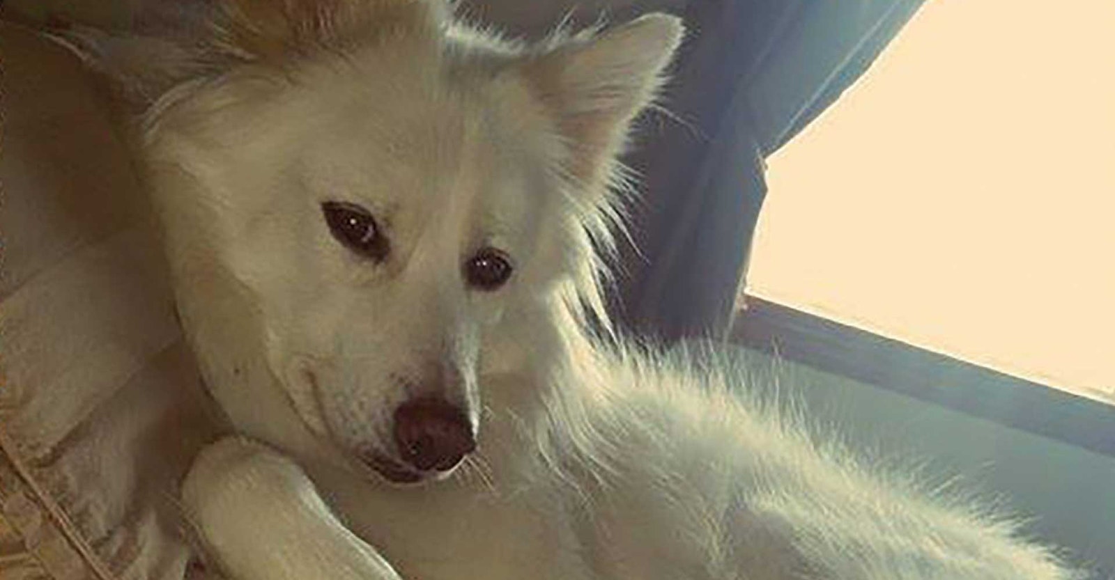 Spinning Spirit Primary Image