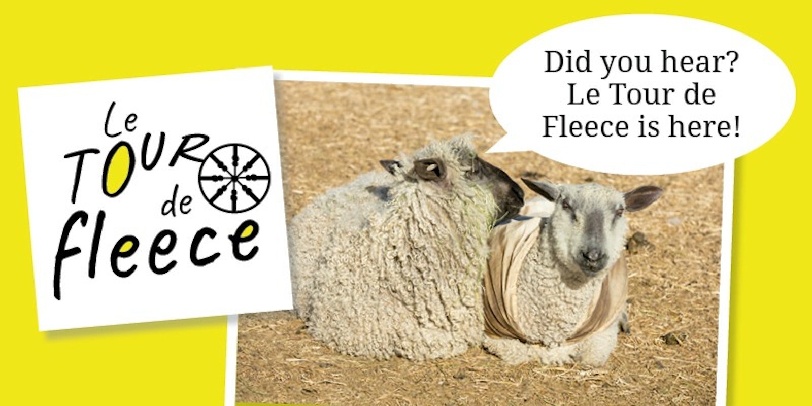 Tour de Fleece: Three Tips at the Starting Line Primary Image