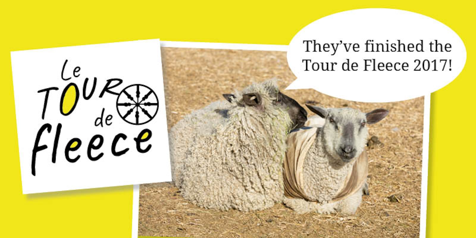 Lessons Learned from Tour de Fleece 2017 Primary Image
