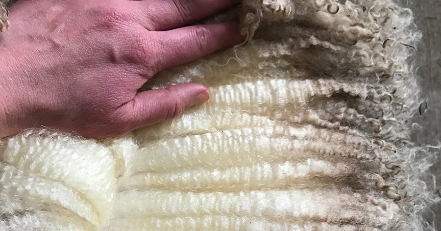 Spinning Strong Wools Image