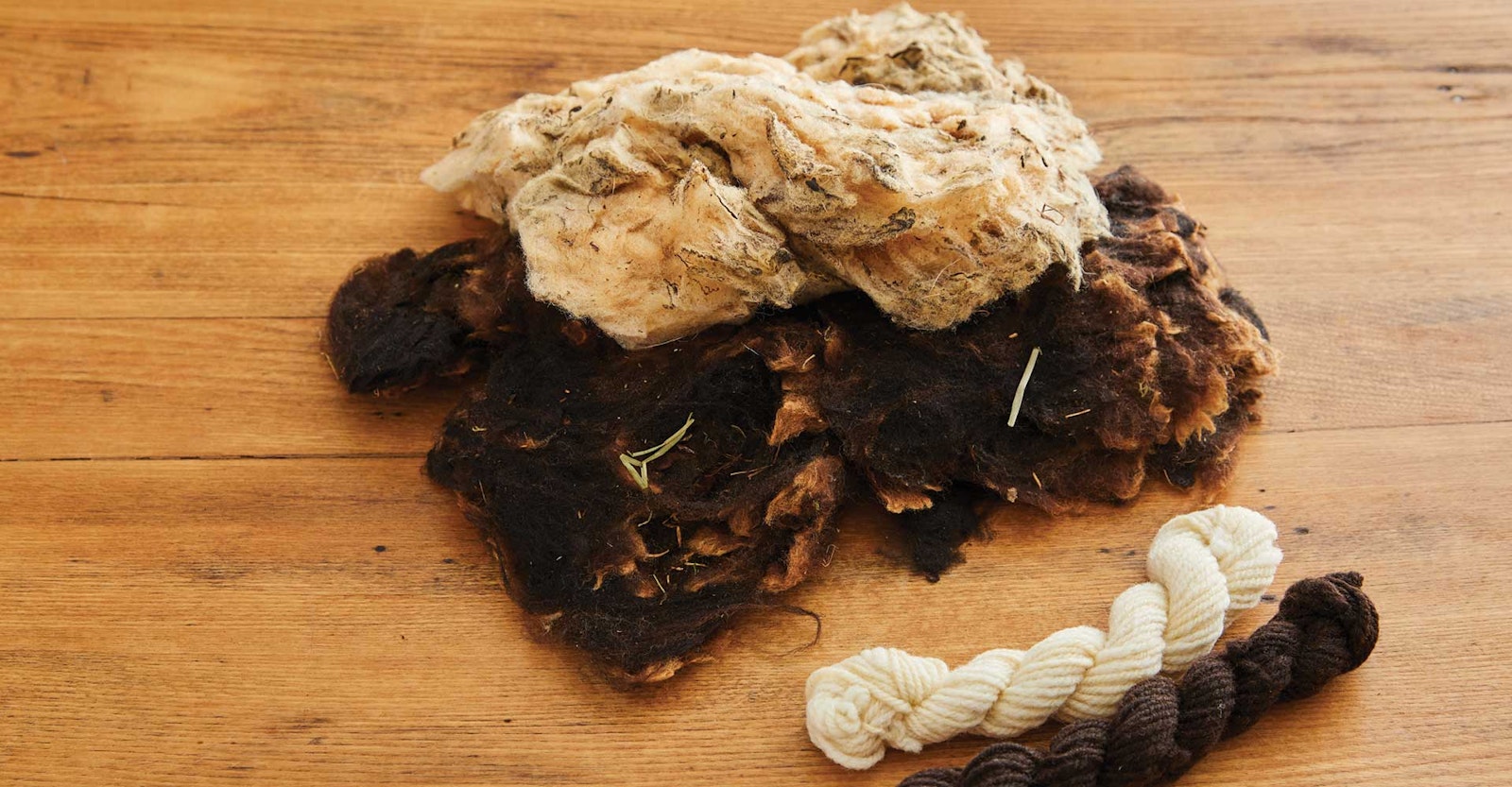 The Great Fleece Makeover Primary Image