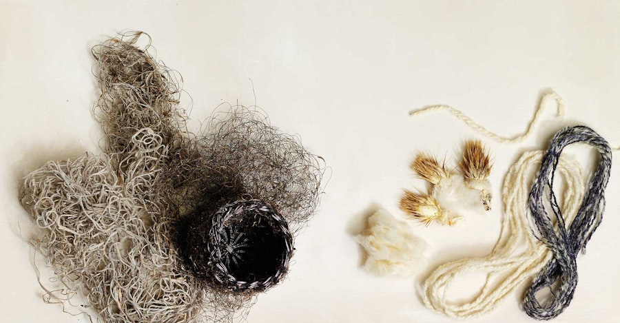 Spinning the Unusual: Chinchilla, Cactus Cotton, and Spanish Moss Image