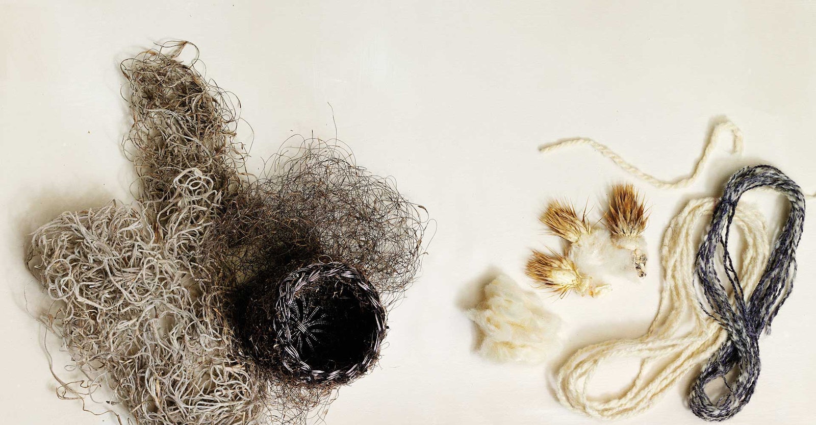 Spinning the Unusual: Chinchilla, Cactus Cotton, and Spanish Moss Primary Image