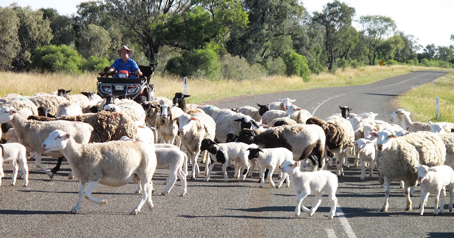 Spin Off Winter 2021: The Elements of Structure Image