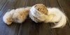 The Most Surprising Natural Fiber You Can Spin Yourself Image